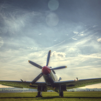 Buy canvas prints of  Supermarine Spitfire FR MkXVIIIe Flightline by Nigel Bangert