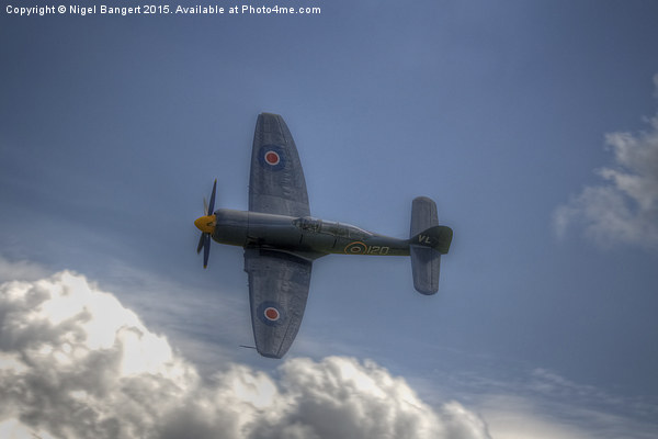  Hawker Sea Fury  Picture Board by Nigel Bangert