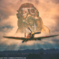Buy canvas prints of One of the Few by Nigel Bangert