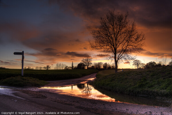 Farnham Sunset Picture Board by Nigel Bangert