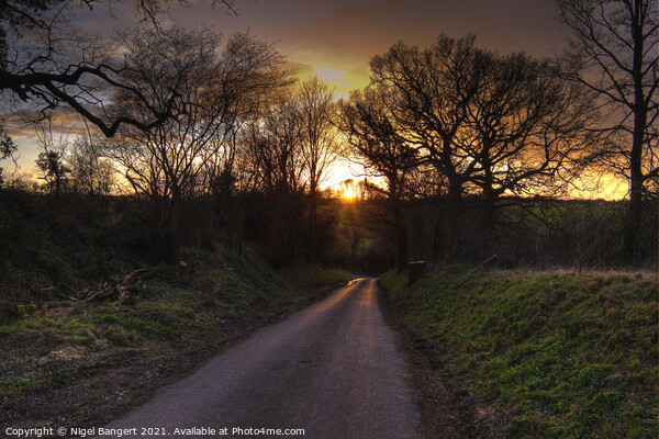 Country Lane Sunset Picture Board by Nigel Bangert