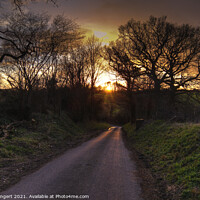 Buy canvas prints of Country Lane Sunset by Nigel Bangert