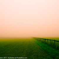 Buy canvas prints of Fog Light by Tom Maslen