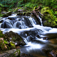 Buy canvas prints of Golith Falls by Tom Maslen