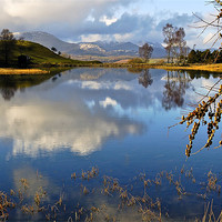 Buy canvas prints of Wise Een Tarn by Donna Connolly