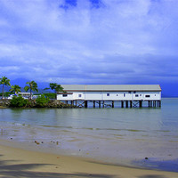 Buy canvas prints of Beach at Port Douglas, N. Queensland by Ali Kernick