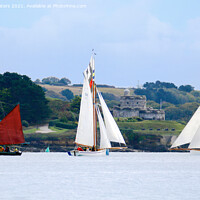 Buy canvas prints of Sails at St Mawes by Terri Waters
