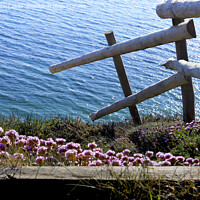 Buy canvas prints of Clifftop Thrift by Terri Waters