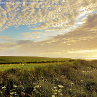 Buy canvas prints of Mackerel Sky Sunset by Terri Waters
