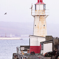 Buy canvas prints of Newlyn Lighthouse Jubilee Pool and the War Memorial Penzance by Terri Waters