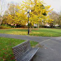 Buy canvas prints of Autumn Bench in the Park by Terri Waters