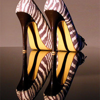 Buy canvas prints of Zebra Print stiletto Shoes by Terri Waters