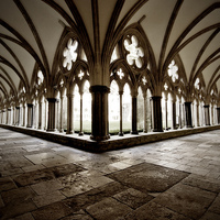 Buy canvas prints of  Salisbury Cathedral Cloisters by Terri Waters