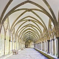 Buy canvas prints of Salisbury Cathedral Cloister HDR by Terri Waters