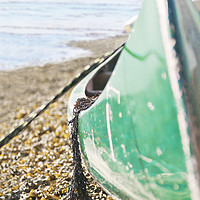 Buy canvas prints of The Old Green Canoe by Terri Waters