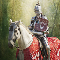 Buy canvas prints of Red Knight by Terri Waters