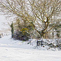 Buy canvas prints of Snow In Mylor Bridge by Terri Waters