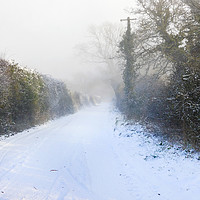 Buy canvas prints of Snowy Lane by Terri Waters