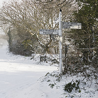 Buy canvas prints of Snowy Cornish Signpost by Terri Waters