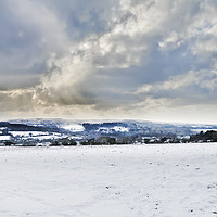 Buy canvas prints of The Day It Snowed In Cornwall by Terri Waters