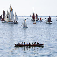 Buy canvas prints of Mylor Gig at the Falmouth Classics Parade by Terri Waters