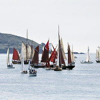 Buy canvas prints of Falmouth Parade of Sail and Power by Terri Waters