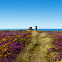 Buy canvas prints of The Path To Wheal Coates by Terri Waters