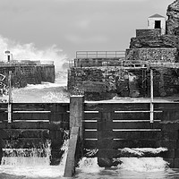 Buy canvas prints of Portreath Harbour in Monochrome by Terri Waters