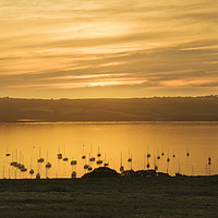 Buy canvas prints of Sunrise Over The Roseland Cornwall by Terri Waters