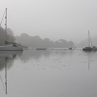 Buy canvas prints of Mylor In The Mist by Terri Waters