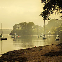 Buy canvas prints of Misty Morning at Restronguet Weir by Terri Waters