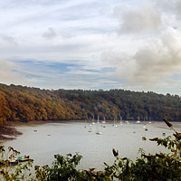 Buy canvas prints of The View From Malpas by Terri Waters