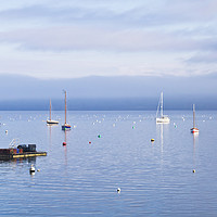 Buy canvas prints of Winter Tranquillity In Carrick Roads by Terri Waters