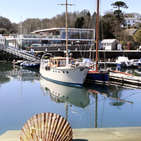 Buy canvas prints of Mylor Marina Shell by Terri Waters