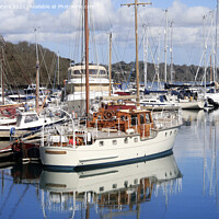 Buy canvas prints of Mylor Masts by Terri Waters