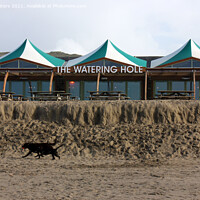 Buy canvas prints of The Watering Hole Perranporth by Terri Waters