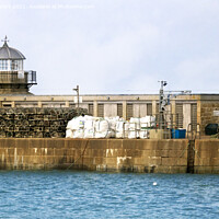 Buy canvas prints of St Ives Old Lighthouse by Terri Waters