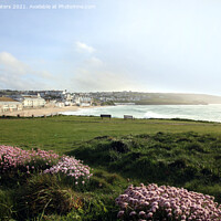 Buy canvas prints of Porthmeor Thrift by Terri Waters