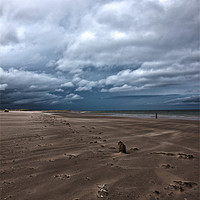 Buy canvas prints of Windswept sands by Alasdair Preston