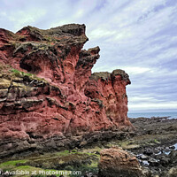 Buy canvas prints of Cove Harbour Rock by Alasdair Preston