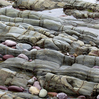 Buy canvas prints of Pembrokeshire Beach Paving Rock by DEE- Diana Cosford