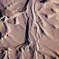 Buy canvas prints of Naturally wrinkled forms in sand by DEE- Diana Cosford