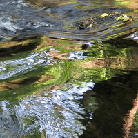 Buy canvas prints of River ripples reflections Dartmoor by DEE- Diana Cosford