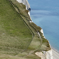 Buy canvas prints of White Nothe Dorset Durdle Door by DEE- Diana Cosford