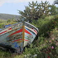 Buy canvas prints of Colourful boat grounded, Greek Island by DEE- Diana Cosford