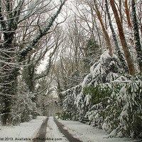Buy canvas prints of Winter in Hampshire by karen grist