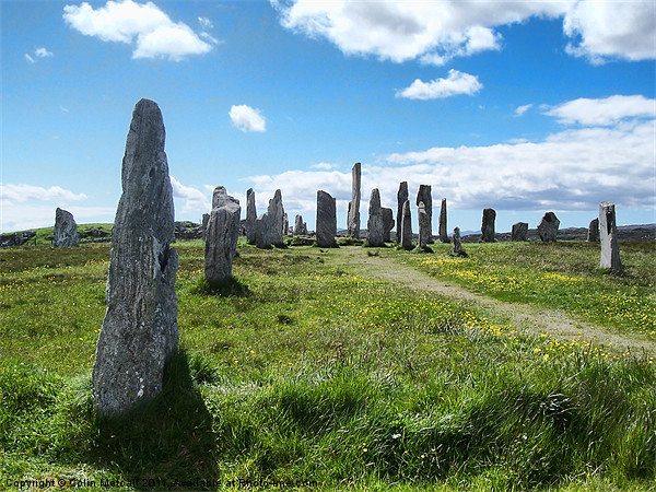 Callanish Stones Isle of Lewis Picture Board by Colin Metcalf