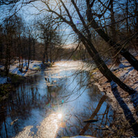 Buy canvas prints of Reflected Winter Sun by Colin Metcalf