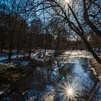 Buy canvas prints of Reflected Winter Sun by Colin Metcalf