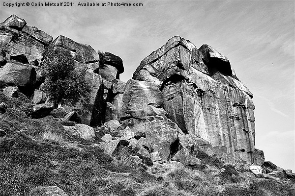 The Cow and Calf Rocks Picture Board by Colin Metcalf